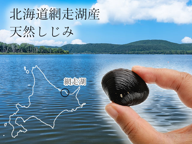 網走湖産の大粒しじみのお取り寄せ
