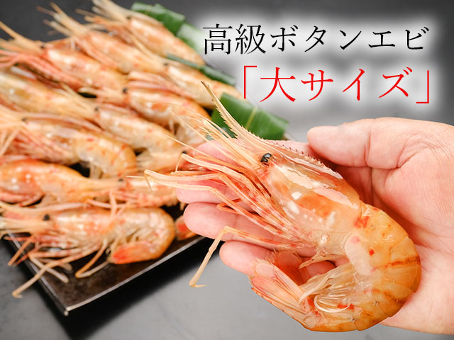 お刺身用ボタンエビの通販