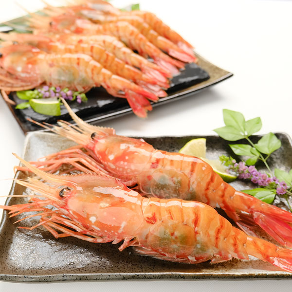 超特大お刺身用ボタンエビ500g(8～9尾)