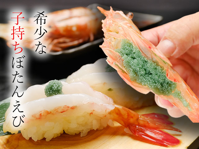 ねっとり甘く旨み濃厚な超特大お刺身用子持ちボタンエビ