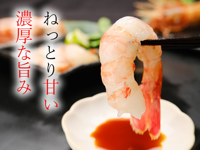 ねっとり甘く旨み濃厚な超特大お刺身用子持ちボタンエビ
