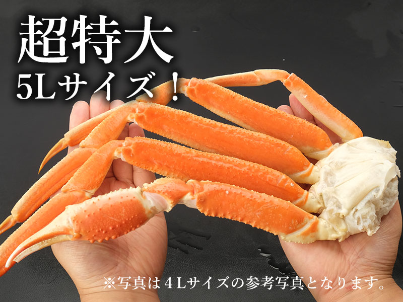 超特大5Lサイズのズワイガニ脚の通販