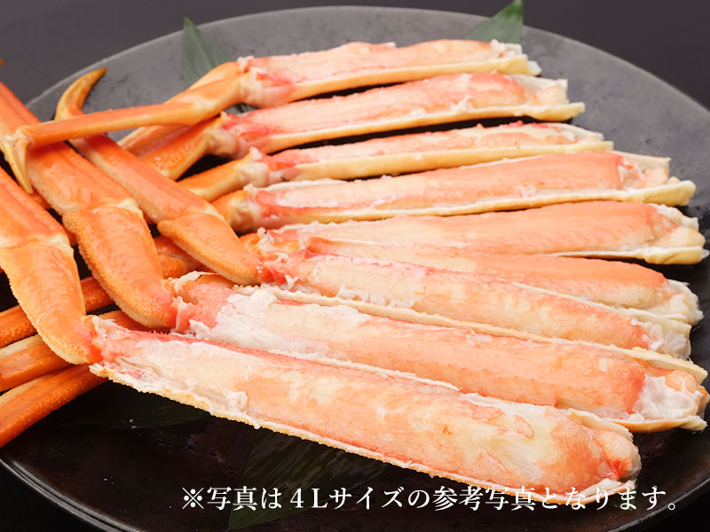 本ズワイガニ業務箱2.5kgのお取り寄せ