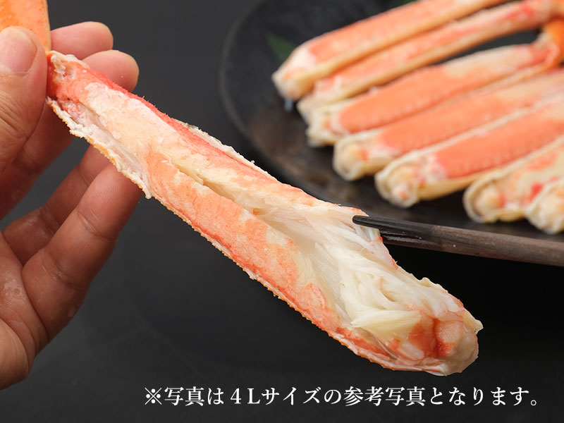 ジューシーで旨みが濃厚な本ズワイガニの通販