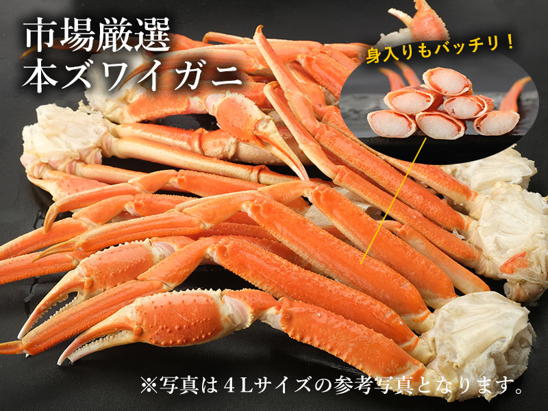 本ズワイガニ脚の通販
