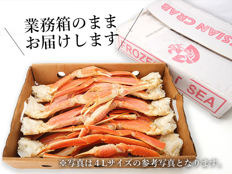「業務箱」本ズワイガニ脚の通販