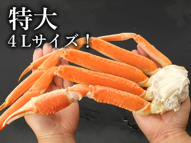 特大４Lサイズのズワイガニ脚の通販