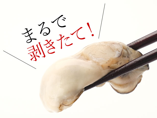 サロマ産無水牡蠣（かき）の通販