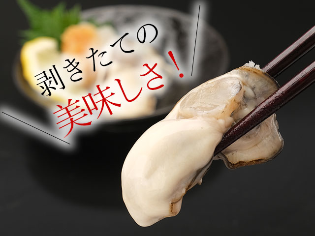 サロマ産無水牡蠣（かき）の通販