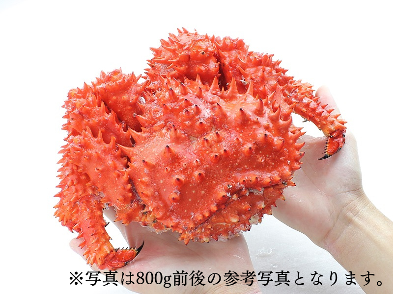 600gサイズの花咲ガニ