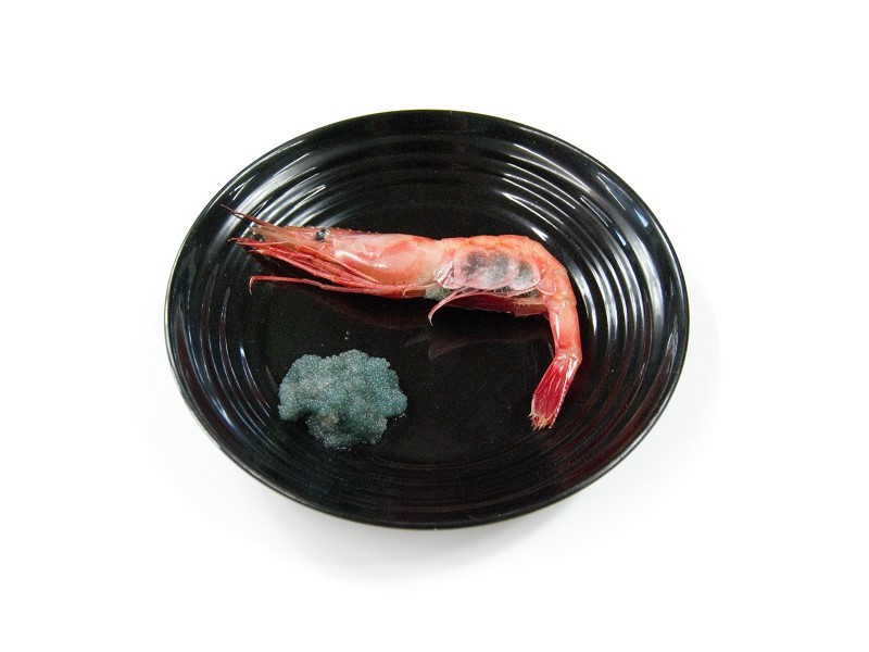 子持ち甘エビ