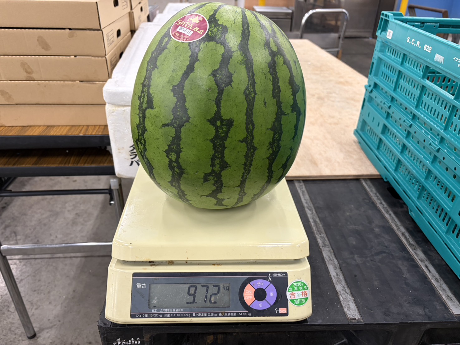 北海道産らいでんスイカ4Lサイズ（約9kg前後）