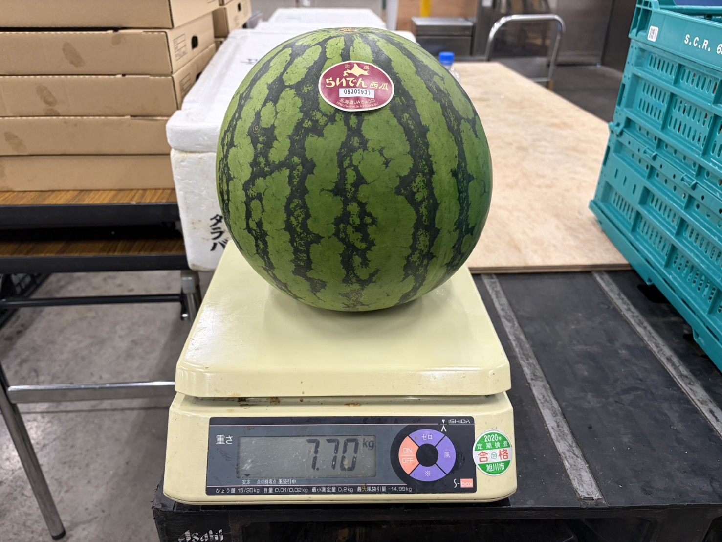 北海道産らいでんスイカ3Lサイズ（約7kg前後）